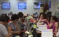 Lưu ý chọn tour du lịch Tết