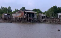 Bờ biển Đông trôi theo sạt lở, người dân đứng ngồi không yên
