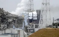 Đại sứ quán Nhật Bản tại Hàn Quốc cập nhật mức độ phóng xạ ở Fukushima