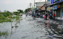 Triều cường tại Nam Bộ đã đạt đỉnh
