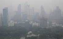 Ô nhiễm không khí có thể dẫn tới hói đầu