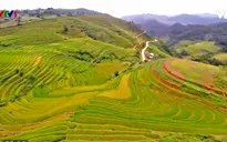 Mê mẩn vẻ đẹp ruộng bậc thang Mù Cang Chải