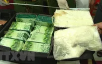 Bắt 2 đối tượng vận chuyển lượng lớn ma túy qua biên giới
