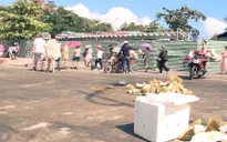 Nên hay không dẹp bỏ bán hàng rong ở Nha Trang?