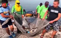 Cá chết hàng loạt tại khu du lịch sinh thái Philippines