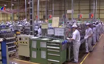 Kinh tế tư nhân: Động lực quan trọng để phát triển nền kinh tế