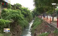 Biến kênh rạch ô nhiễm thành nơi vui chơi