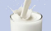 Các siêu thị Đức thu hồi đồng loạt sữa tươi ít béo nhiễm vi khuẩn "ăn thịt người"