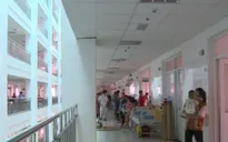 Cần Thơ: Bệnh nhi mắc sốt xuất huyết tăng cao