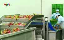 Trái cây Việt cần những thay đổi để phát triển bền vững