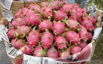 Xuất khẩu rau quả sang Trung Quốc giảm mạnh