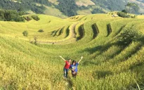 Mùa vàng trên miền cực Bắc