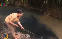 Thủ tướng chỉ đạo xử lý vấn đề ô nhiễm nguồn nước sạch sông Đà