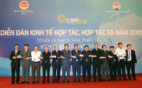 Kinh tế hợp tác, hợp tác xã chiếm 10% GDP