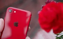 Chú ý: iPhone SE 2 có bản màu đỏ, giá thì siêu tốt!