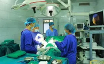 Nhiễm khuẩn huyết, suy tạng do... sỏi thận
