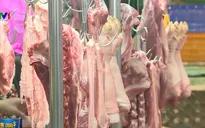 Giá lợn dự kiến tiếp tục tăng nhưng sẽ không quá cao