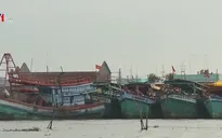 Hơn 1.000 tàu cá chưa lắp giám sát hành trình