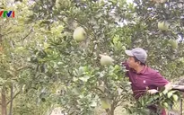 Nguồn vốn tín dụng chính sách giúp nhiều hộ dân thoát nghèo