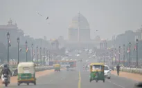 Thành phố New Delhi (Ấn Độ) chìm trong khói mù ô nhiễm