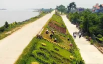 Hơn 52,4% số xã đạt chuẩn nông thôn mới