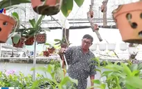 Người đàn ông chi hơn 400 triệu đồng trồng lan... tặng vợ