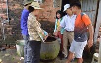 Bà Rịa - Vũng Tàu: Hơn 11.600 ca mắc sốt xuất huyết, 5 ca tử vong