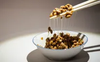 Hơn 1.900 loại côn trùng có thể ăn được