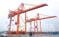 Fitch Solutions nâng dự báo tăng trưởng GDP Việt Nam năm 2019