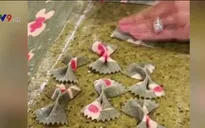 Biến sợi mì pasta thành tác phẩm nghệ thuật