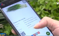 Tái cơ cấu nền nông nghiệp Việt Nam thông qua chuyển đổi số
