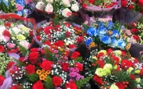 Hoa hồng hạnh phúc không chỉ dành cho ngày 20/10