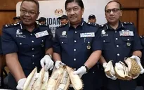Phát hiện hơn 6kg heroin giấu trong sầu riêng
