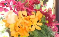 Đặc sắc chương trình nghệ thuật “Hoàng cung Huế, Áo dài và Hoa”