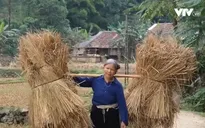 Thúc đẩy bình đẳng giới cho phụ nữ dân tộc thiểu số
