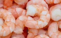 Mỹ giảm mạnh nhập khẩu tôm từ Trung Quốc