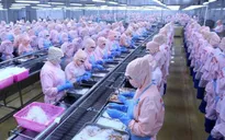 665 doanh nghiệp thủy sản Việt Nam được xuất khẩu vào Trung Quốc