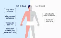Tỷ lệ vàng của lợi khuẩn và hại khuẩn trong đường ruột con người