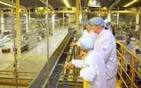 Ngành sữa Việt tăng cường hợp tác với Hoa Kỳ
