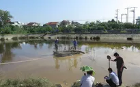 Xử lý việc Công ty cổ phần cấp nước Nghệ An xả bùn thải ra hồ Cửa Nam