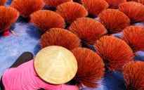 Về làng tăm hương Quảng Phú Cầu ngắm những "đóa hoa" đỏ rực dưới nắng thu