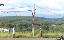 Người dân Đắk Nông sử dụng lưới điện tự kéo gây mất an toàn