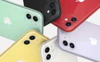 iPhone 11 đắt khách, Apple khiến Samsung "nhọc bở hơi tai"