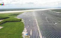 Việt Nam có tiềm năng lớn về điện mặt trời trên mặt hồ
