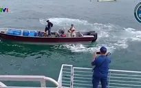 Costa Rica thu giữ lượng lớn cocaine