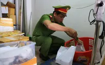 Đà Nẵng phát hiện cơ sở bơm tạp chất vào tôm hùm