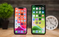 YouTube hỗ trợ chế độ HDR trên iPhone 11 Pro và iPhone 11 Pro Max