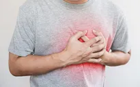 Nhật Bản muốn thử nghiệm chữa bệnh tim bằng tế bào gốc