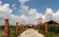 Giấc mơ hồi sinh nghề gốm đỏ