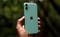 Apple sẽ "hy sinh" iPhone 11 Pro và 11 Pro Max để dồn lực cho iPhone 11